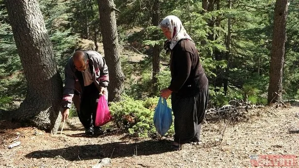japonya-ve-guney-kore-bunun-hastasi-beyaz-altin-icin-ormana-akin-ediyorlar-gunluk-10-bin-tl-ise-1605813412183.jpg Japonya ve Güney Kore bunun hastası! Beyaz altın için ormana akın ediyorlar! Günlük 10 bin TL ise...-8