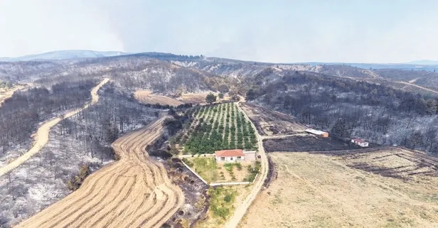 Çanakkale’de yangın büyük hasar bırakırken ceviz bahçesi küle dönmedi