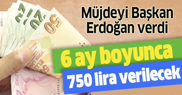 Müjdeyi Başkan Erdoğan vermişti... Stajyer Araştırmacı Burs Programında 6 ay boyunca aylık 750 lira burs (TÜBİTAK bursu başvuru adresi)