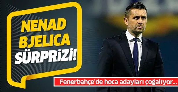 Nenad Bjelica sürprizi! Fenerbahçe’de hoca adayları çoğalıyor...