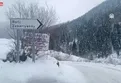 Artvin'de 3 çoban çığ altında kaldı - VİDEO