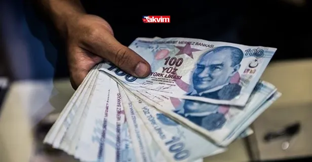 Karşılıksız başvuranlara 30.000 TL hibe desteği! 18 yaşını doldurmanız yeterli! Paranız hemen hesaba yatıyor