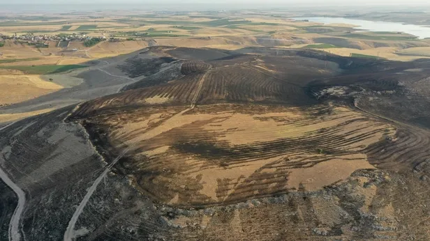 Çınar ve Mazıdağındaki anız faciasında can kaybı yükseliyor! Ne kadar alanda zarar var? Diyarbakır ve Mardine acil yardım ödeneği