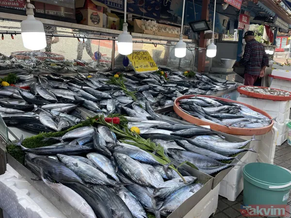 Denizden palamut fışkırdı! Tanesi 20 liraya düştü! Vatandaşın ve esnafın yüzü gülüyor - 3