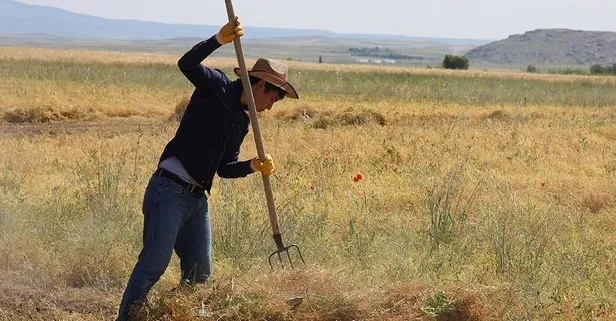 Bakanlık açıkladı: Çiftçiye 150 milyon lira