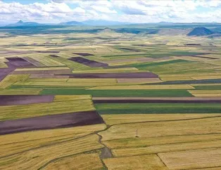 Buralarda arsa ve arazisi olan yaşadı! Fiyatlar tavan yaptı... | Arsa ve arazi fiyatlarının en çok arttığı iller