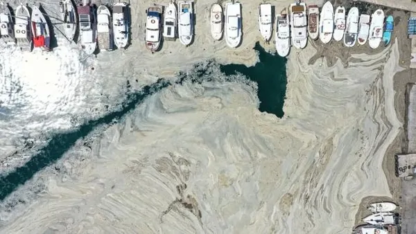 son-dakika-musilajla-mucadele-yasasi-mecliste-kabul-edildi-1653945333192.jpg Son dakika: Müsilajla mücadele yasası Meclis'te kabul edildi-4