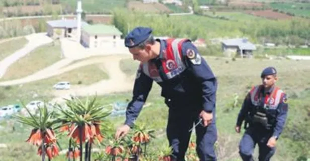 ’Van’ canına