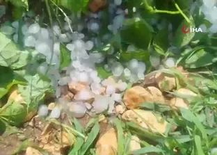 Mersin’de şiddetli dolu yağışı etkili oldu