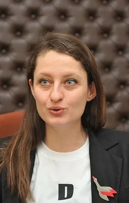 Şafak Pavey'den Almanya ve Hollanda'ya destek