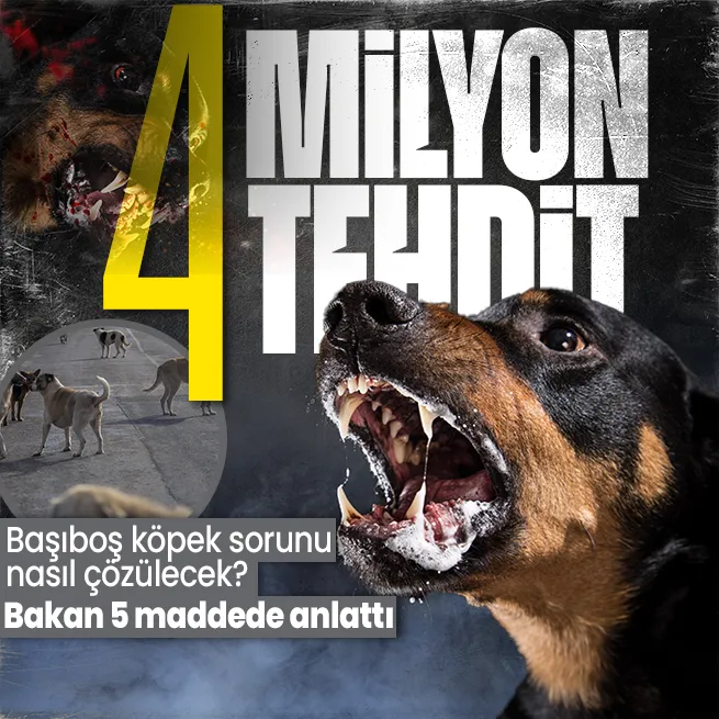 Başıboş köpek sorunu nasıl çözülecek? Başıboş köpek düzenlemesinde neler var? Tarım ve Orman Bakanı İbrahim Yumaklı 5 maddede anlattı