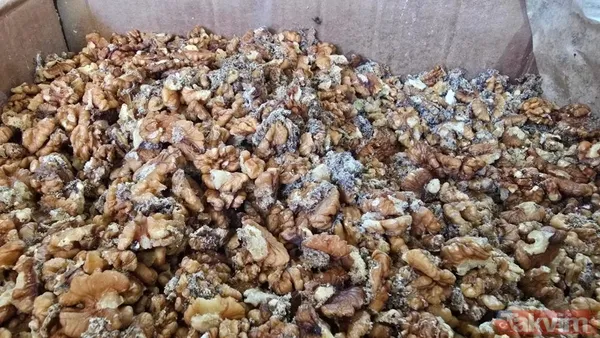 Kurtlanmış Ceviz İçi Ele Geçirildi Yapılan Denetimde Kurtlanmış Ve Bozulmuş Tonlarca Ceviz İçi Ele Geçirildi. Bozuk Ürünlere El Koyan Ekipler, Araçlara Koyarak...