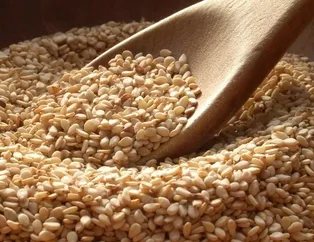 Karaciğere susam gücü