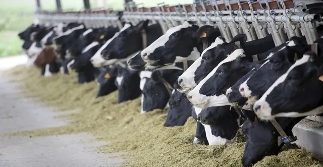 Hayvancılık kredisi başvurusu nasıl yapılır? İşte istenen evraklar-2