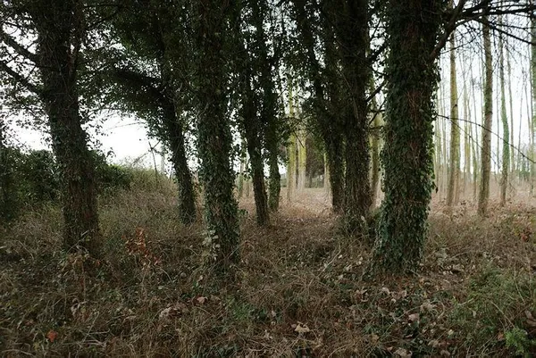 Son dakika: Samsun'da öldürülen Arzu Aygün'ün katilini kızı bulmuş: Muharrem Çoşkun yakayı böyle ele verdi-6
