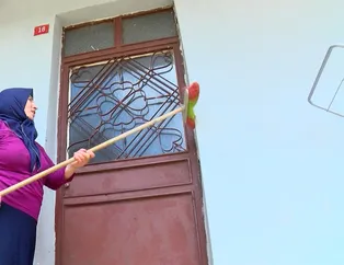 Beykoz'da yüz binlerce tırtıl mahalleyi işgal etti! Ne varsa kurutuyorlar
