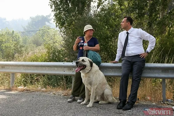 İzmir Bornova'da orman yangını: O yol kapatıldı - 8