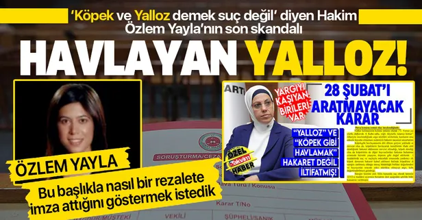 Bu nasıl hakimlik? ‘Köpek demek suç değil’ diyen hakim Özlem Yayla verdiği kararla ilgili habere erişim engeli istedi!