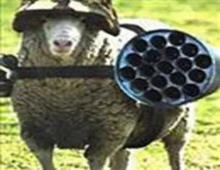 Dünya ordularından komediler
