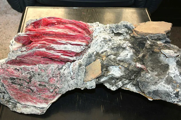 Yüzerken buldu! Sudan çıkarınca gözlerine inanamadı