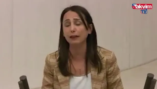 HDP'li Tülay Hatimoğulları sınır ötesi operasyonlardan rahatsız oldu