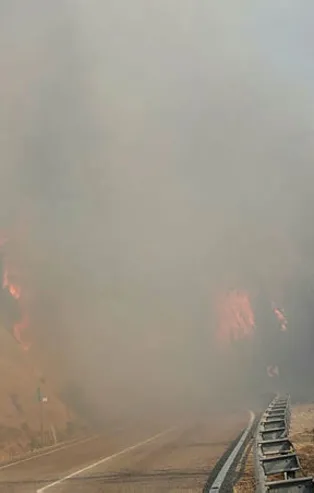 Osmaniye'de orman yangını! Evler boşaltılıyor