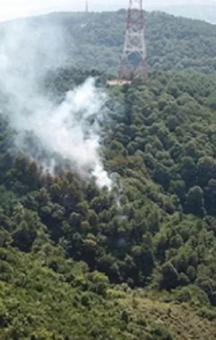 İstanbul Beykoz'da orman yangını!