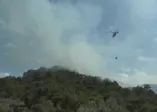 Son dakika haberi: Bodrum'da orman yangını