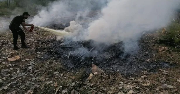 Bartın’da anız yangınını polis ekipleri durdurdu
