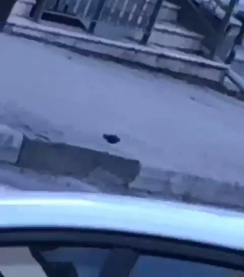 Beylikdüzü'nde el bombası paniği (DHA)