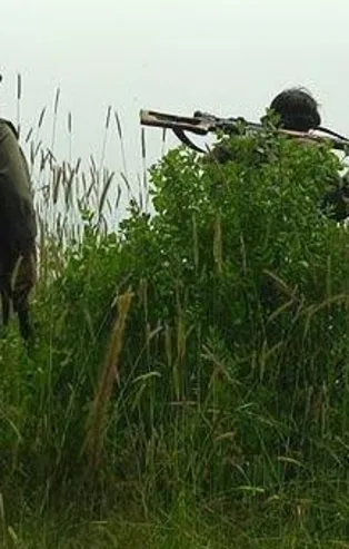 PKK'da ağır kayıplar sonrası infazlar başladı!