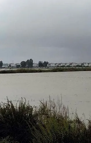 Meteoroloji'nin turuncu kodla uyardığı Antalya'da yağış etkisini sürdürüyor! Tarlalar su altında kaldı