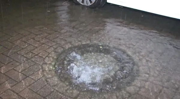 almanyayi-sel-goturdu-frankfurt-havalimani-gole-dondu-keske-turkiyeden-kopya-cekseydiniz-1692261790811.jpeg Almanya'yı sel vurdu! Frankfurt Havalimanı göle döndü-4