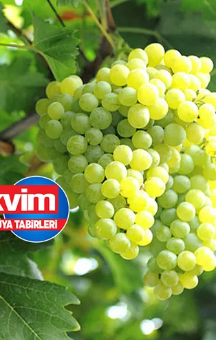 Rüyada üzüm görmek ne anlama gelir? Rüyada üzüm salkımı görmek hayırlı mıdır? Rüyada üzüm yemek neye işarettir?