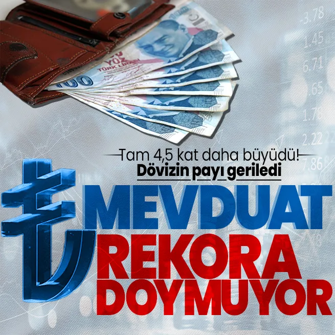 Tam 4,5 kat daha büyüdü! Türk Lirası mevduatta tarihi rekor kırıldı