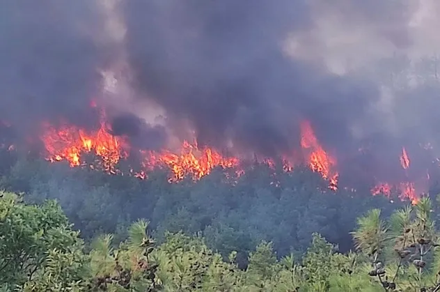 Son dakika: Çanakkale'de orman yangını! Havadan ve karadan müdahale edildi