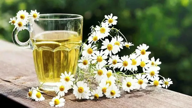 Uzmanı epilepsi hakkında doğru bilinen yanlışları açıkladı-2