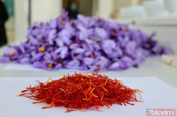 Uzman açıkladı! Bu baharat antidepresanlara rakip olabilir - 2