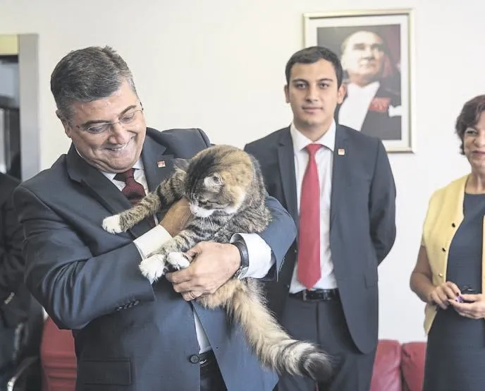 CHP’de Şero ŞOV YAPTI!