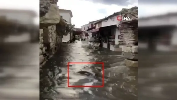izmir-depreminde-en-aci-an-babaannesinin-olumunu-kaydetti-1604309520728.jpg İzmir depreminde en acı an! Babaannesinin ölümünü kaydetti-2