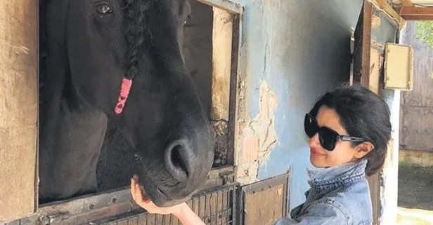Güzel oyuncu Nesrin Cavadzade, atları elleriyle besledi