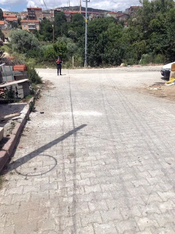 Konya'da yavru köpeği ezen sürücü arkasına bile bakmadı! O anlar güvenlik kamerasında-3