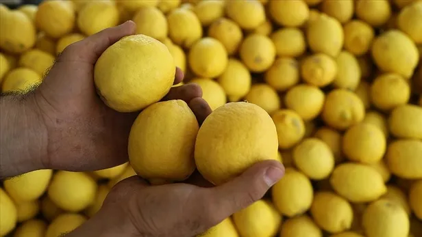 uyurken-yani-basina-limon-koyanlar-sasti-kaldi-bir-kez-deneyince-bas-ucunuzdan-ayirmayacaksiniz-1699947153980.jpg Uyurken yanı başına limon koyanlar şaştı kaldı! Bir kez deneyince baş ucunuzdan ayırmayacaksınız-4