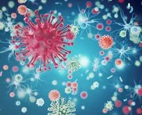 Mutasyona uğrayan koronavirüs zayıflar mı güçlenir mi?