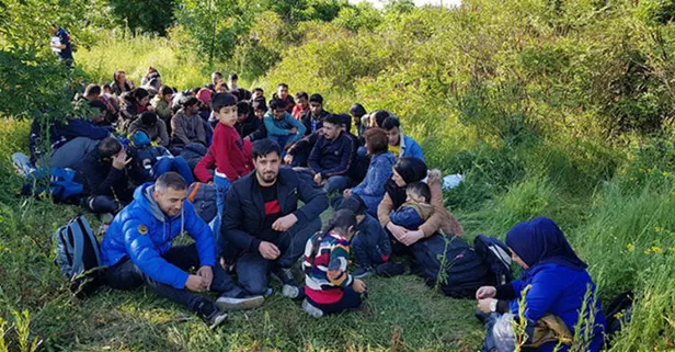 Ormanda böyle yakalandılar