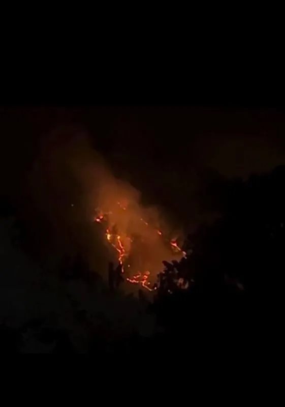 bursada-cikan-orman-yanginina-ekiplerin-yogun-mudahalesi-karadan-devam-ediyor-1724796133861.jpeg Bursa’da çıkan orman yangınına ekiplerin yoğun müdahalesi karadan devam ediyor-2