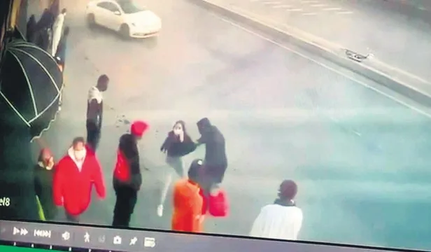 1649023793128.jpeg 3 endemik bitkiyi yok eden su maymunları için eylem planı başlatıldı-9