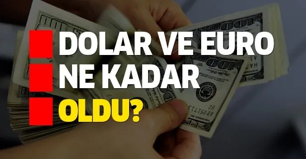 Dolar ve euro ne kadar oldu?