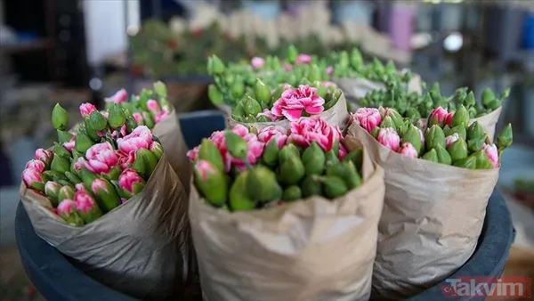 🌺 Kadınların Bir Gücü Var; Sevgi, Barış Ve Adalet. Tüm Kadınların Dünya Kadınlar Günü Kutlu Olsun! 🌺 Dünya Kadınlar Günü, Kadınların Gücünü Ve Hakkını...