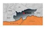 Şırnak’ta pusu: 3 asker şehit